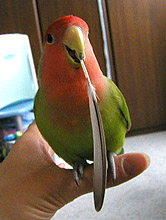 �����́A�ł������̂�����������I