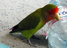 ���カ�Ȃ񂾂��ǂ����A�����񂾂�ˁ`