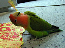 ����A�L���ł���`�H