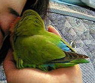 ���₿��݂����`���}�}�Ƃ��Ђ�˂���́`