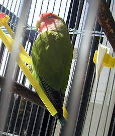 �����`�A�˂ނ��˂ނ��B�B�B