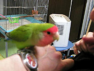 �ςς��`�A���ƂȂ��āA�Ȃ��ɁH