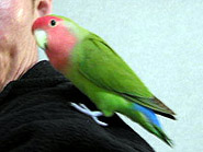 �˂˂��A�}�}���s�����I