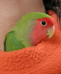 �}�}�A�ڂ������邩��A���v����I