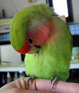 �L���C�L���C�ˁI