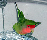 �Ђ���ق��`�����I