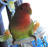 ���`���������H