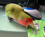 ������`�A�}�Ɋ������Ȃ��ł悧�`�I