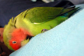 �����́A�C���������ƁA���`���ς��`