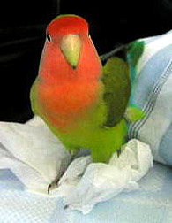 �����A�݂�������������I�I