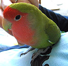 �����`�`�`�Â��̕|���������Ă΂��`�`�`