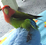 �ււցA�ЂƂ�ł������Ⴄ�񂾁I