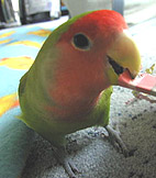 ��������[�ԁ�