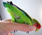 �������Ȃ��`�I