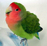 �L���C�ɂȂ�񂾂����`���