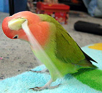 �����ς��V�Ԃ񂾂���ˁ`��