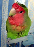 �}�}�A�N���N���������H