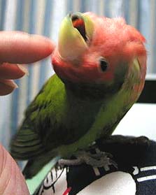 �܂܁`�A���������`