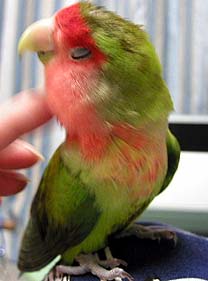 �ɂ�`�`�`�����������`�`�`