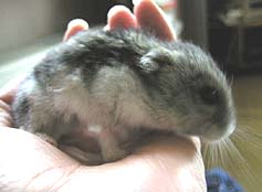 ��������A�}�}�̂��ĂĂ͂����������˂���