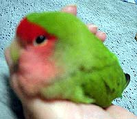 �������[����A���܂񂶂イ�݂������āA�������ł���H