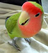 �����Ƃ����ƁA���������Ȃ�񂾂���I