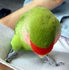 �E�E�E���߂�Ȃ��Ⴂ���`�B�B