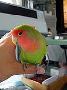 �}�}���A�C��t���Ă�ˁ`�I