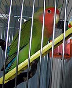 �����ā`�A�V�����̂��ׂ�񂾂���`