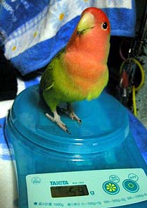 �S�n���H�ׂ�����A58�����悧�`(*^��^*)