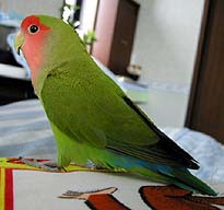 �������[����A�ӂ��ˁ[�����Ɉ��������Ȃ��B�B