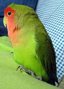 �E�E�E�҂����Ȃ��B�B