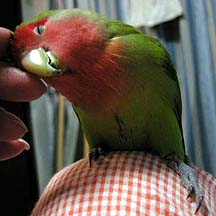 �S�z�����āA���߁[��˂��I