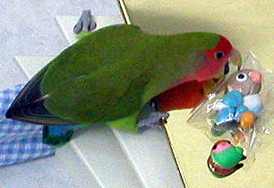 �ӂ��ˁ[�����A����������`�I