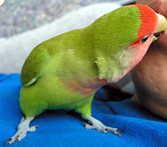 ����������