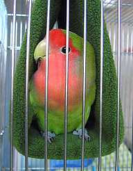 �����A�����񂾂�ˁ`��