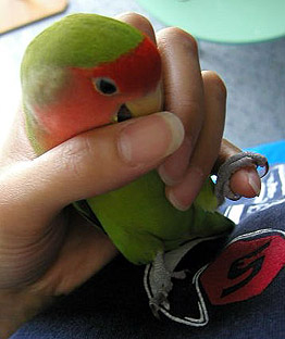 �Ȃ񂾂悧�[�A��߂Ă���悧�[�I