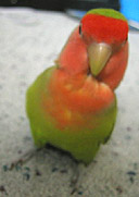 ���݂��݂��݁E�E�E