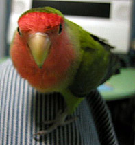 �܂܂��A�J�L�J�L���Ă�`