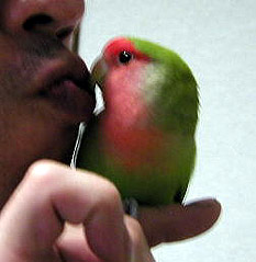 �͂��I�I���W�ɂ���`���ꂿ���������I�I