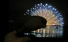 �����Ⴍ����ɂȂ����C���I�H