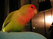 �܂܂��A����������I�I