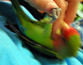 �����������������������I�I