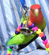 H�}�}���璸�����́`��