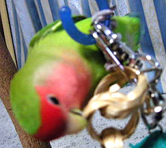 I�}�}���璸�����́`��