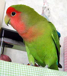 ���A�Ȃɂ��b���������āH�ȁ[������`��