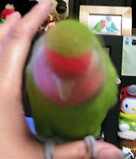 ���͂�[�������܂��E�E�E�������`