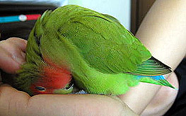 S�����A�J�L�J�L���ā`�`�`