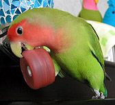 �������Ȃ��������I