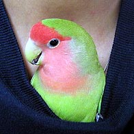 �����͊����˂��`